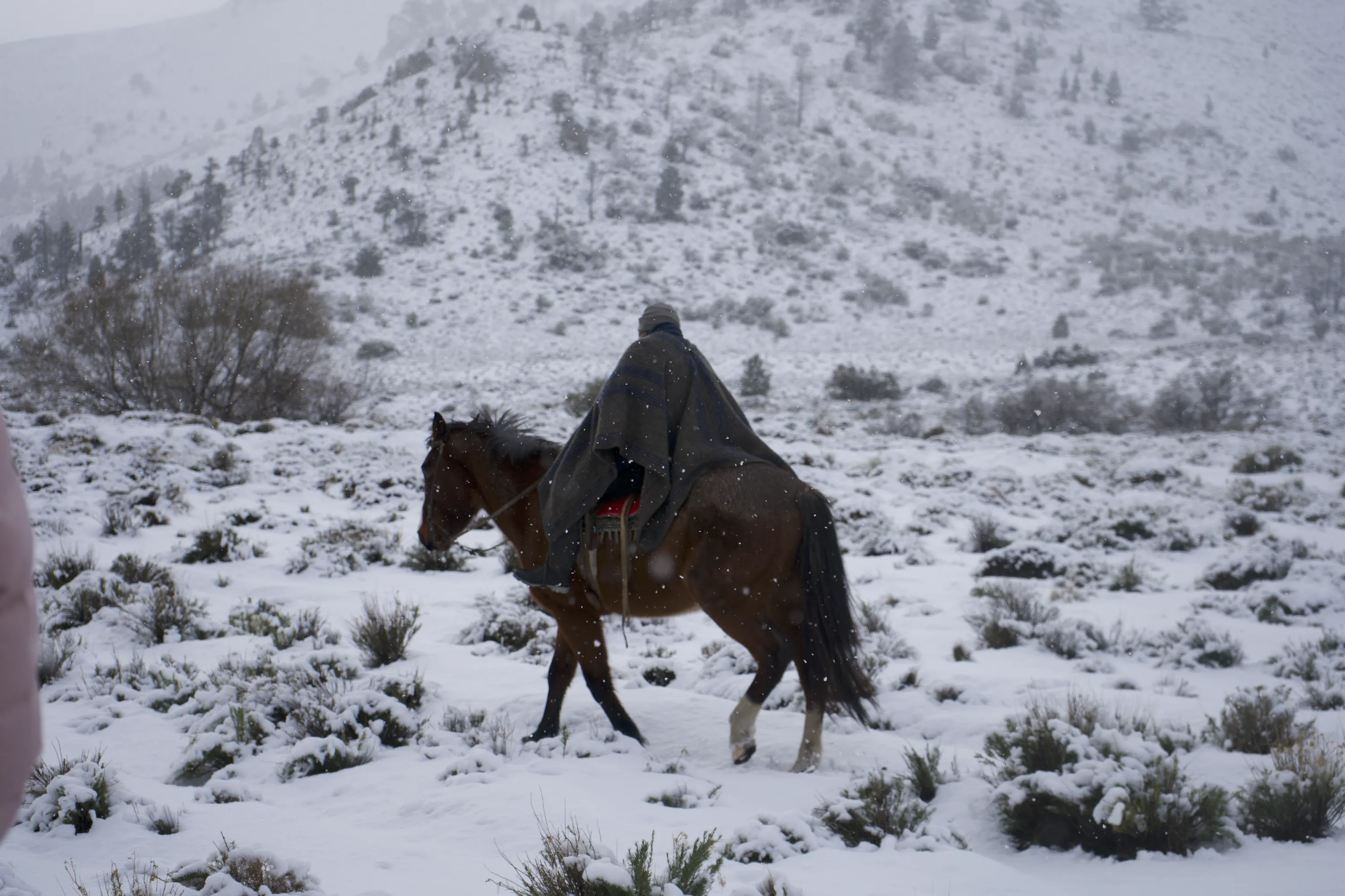 Gaucho in San Carlos de Bariloche, Argentina